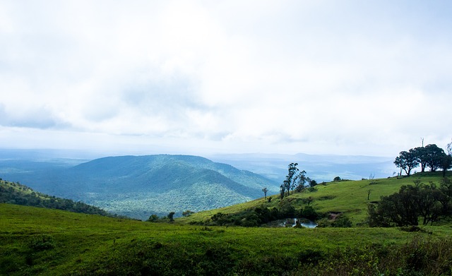 荣誉的追求 荣誉的追求