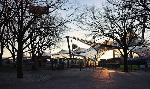 赛事组委会 赛事组委会