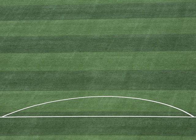 惜的完美例 惜的完美例