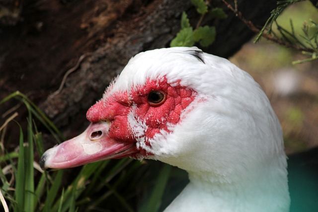 育精神的壮 育精神的壮