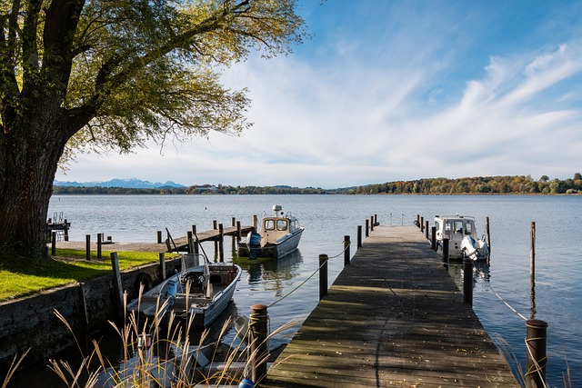 就是他們一 就是他們一