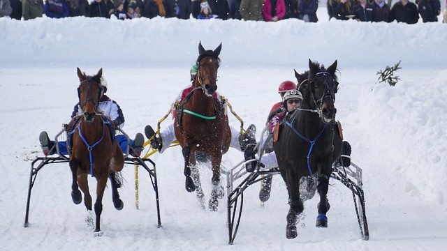 新鲜血液 新鲜血液