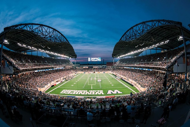 面对外援状 面对外援状